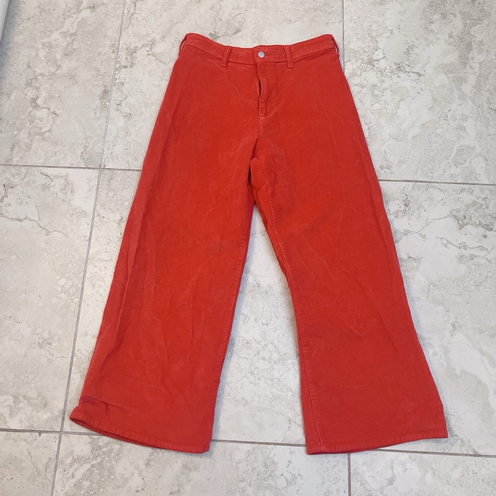 Free- Universal Thread Sail Wide leg pant